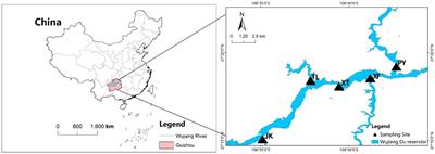 Seasonal dynamics of free-living (FL) and particle-attached (PA) bacterial communities in a plateau reservoir